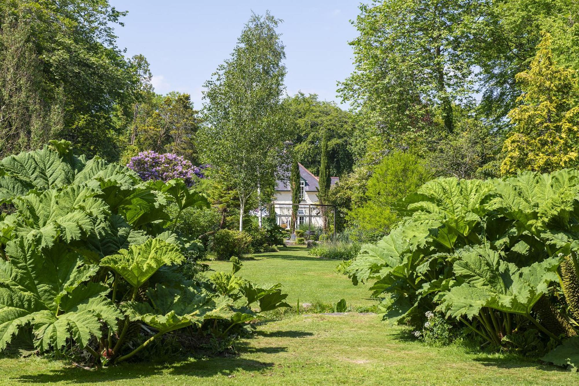 The Cors Country House Villa Laugharne Eksteriør billede